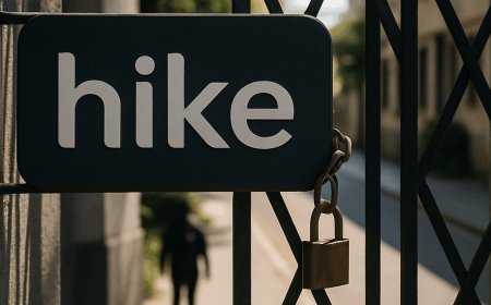 Hike, Once a Unicorn, Shuts Down as India Cracks Down on Real-Money Gaming