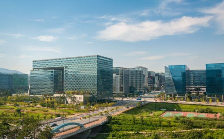 South Korea’s ‘Silicon Valley’ Strives to Live Up to Its Global Ambitions