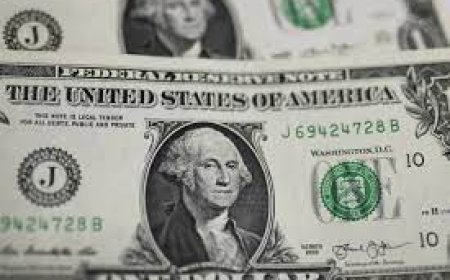 ‘Our funds are 20 years old’: Limited partners confront VCs’ liquidity crisis