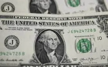 ‘Our funds are 20 years old’: Limited partners confront VCs’ liquidity crisis