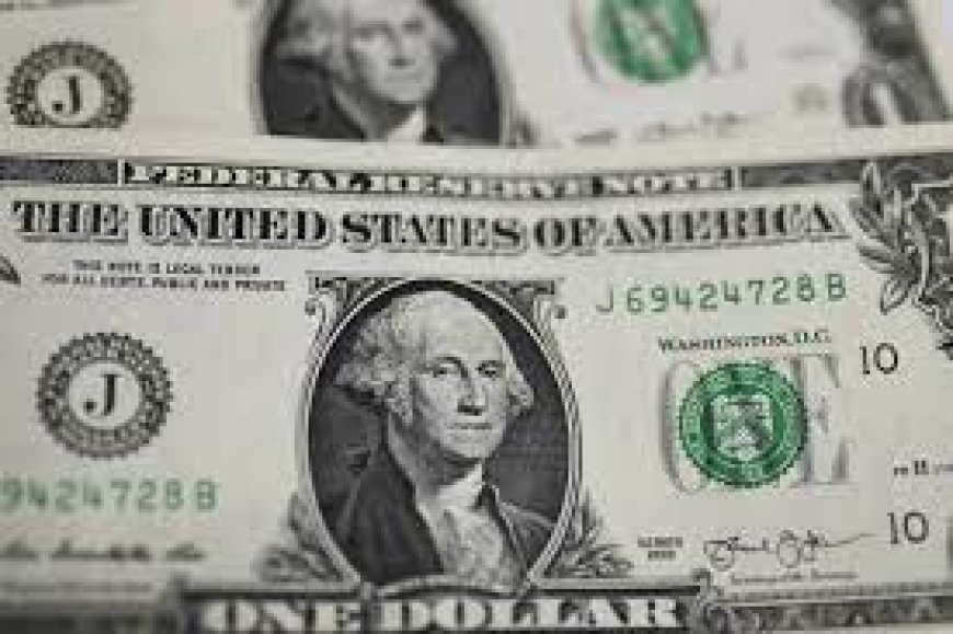 ‘Our funds are 20 years old’: Limited partners confront VCs’ liquidity crisis