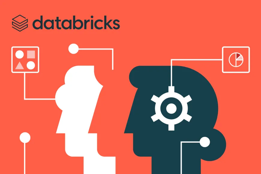 Image Credits: Databricks