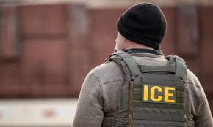 Here’s the Technology Powering ICE’s Deportation Crackdown
