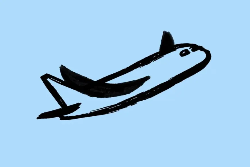 Image Credits: Flapping Airplanes