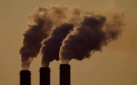 Trump Administration’s EPA Plans to Exclude Health Impacts From Air Pollution Rules
