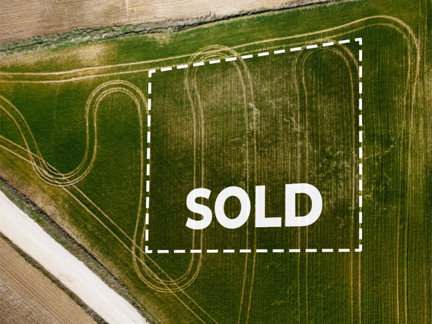 LMArena lands $1.7B valuation four months after launching its product