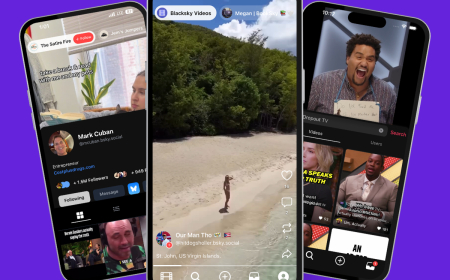 TikTok Alternative Skylight Surpasses 380,000 Users After U.S. Ownership Deal