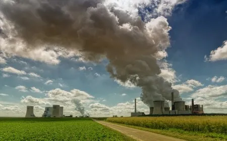 Google- and Microsoft-backed Terradot acquires carbon-removal competitor