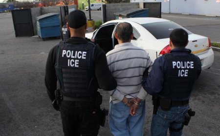 What tech CEOs and executives have said about ICE’s actions in Minnesota