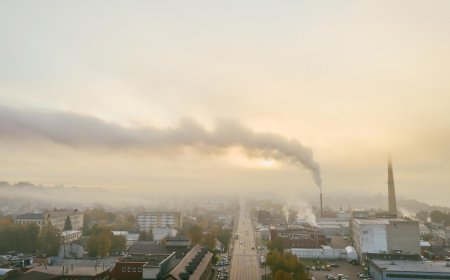 Trump EPA reportedly seeks to revoke landmark air pollution rule