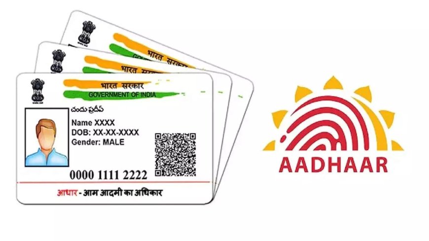 India makes Aadhaar more ubiquitous, but critics say security and privacy concerns remain