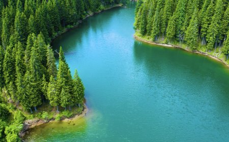 Current is a new RSS reader that’s more like a river than an inbox