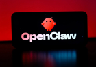 After all the hype, some AI experts don’t think OpenClaw is all that exciting