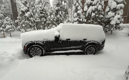 The 9,000-Pound Monster I Don’t Want to Give Back