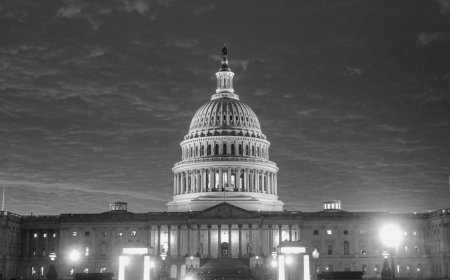 Tech employees call on Pentagon and Congress to remove Anthropic supply-chain risk designation