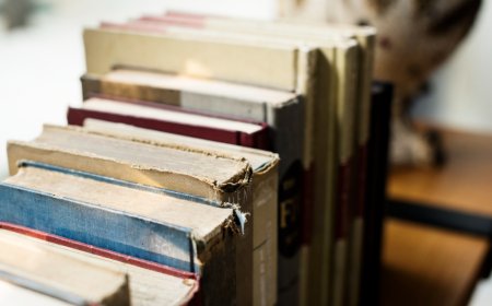 Publisher withdraws horror novel ‘Shy Girl’ amid AI-related concerns