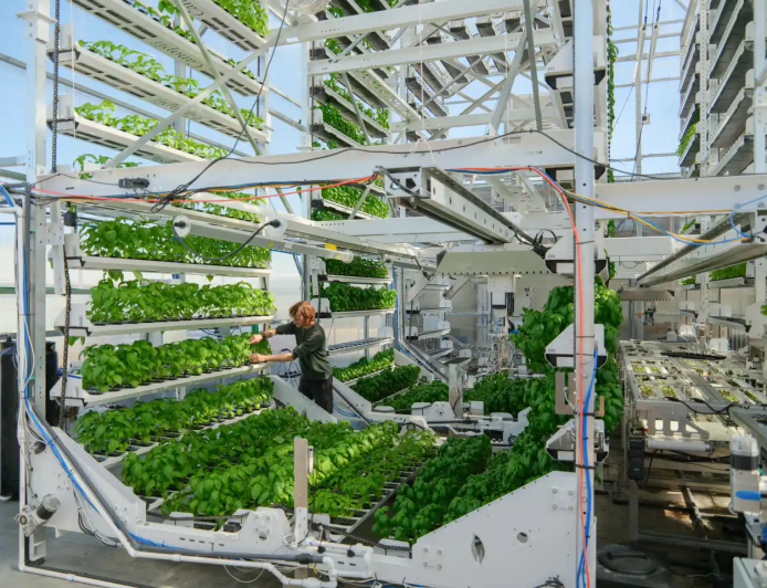 Canopii aims to succeed where earlier indoor farming ventures struggled