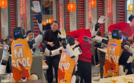 Staff restrain dancing humanoid robot after a malfunction at a California restaurant