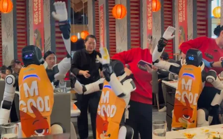 Staff restrain dancing humanoid robot after a malfunction at a California restaurant