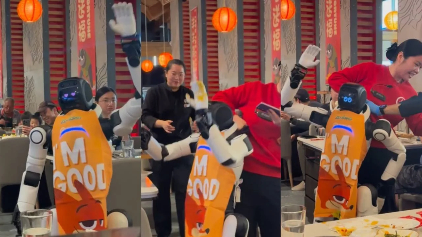 Staff restrain dancing humanoid robot after a malfunction at a California restaurant