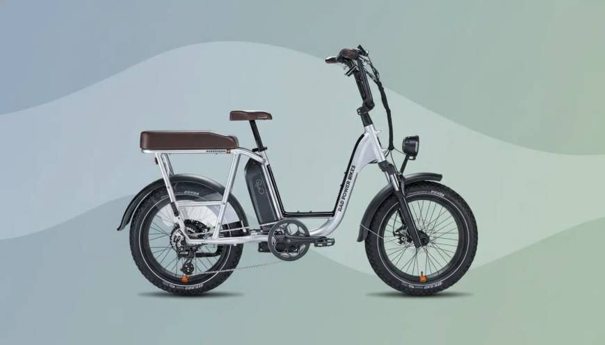 Life EV completes acquisition of Rad Power Bikes