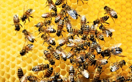 Beehiiv launches new creator tools with webinars and flexible paywalls