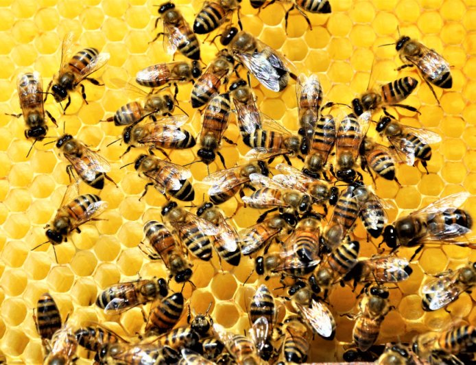 Beehiiv launches new creator tools with webinars and flexible paywalls