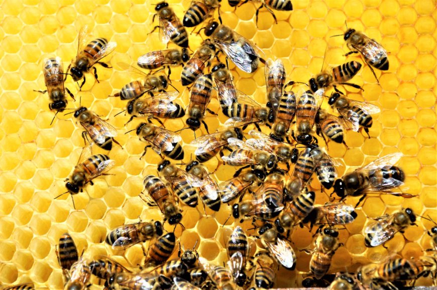 Beehiiv launches new creator tools with webinars and flexible paywalls