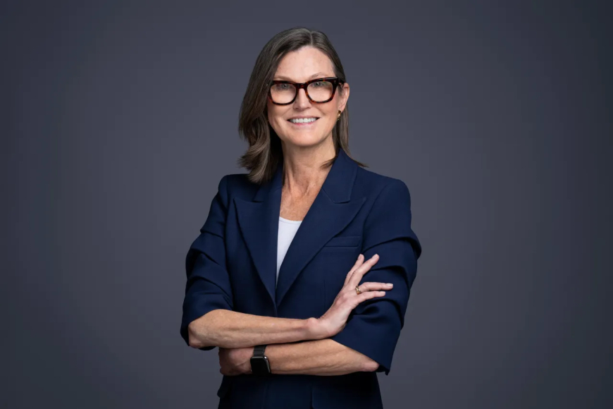 ARK Invest backs Lucra in first lead startup investment outside AI