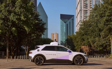 Self-driving car in Texas kills mother duck, triggers neighbourhood outrage
