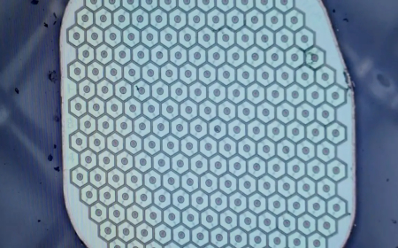 Science Corp., led by Max Hodak, prepares for its first human brain sensor implant