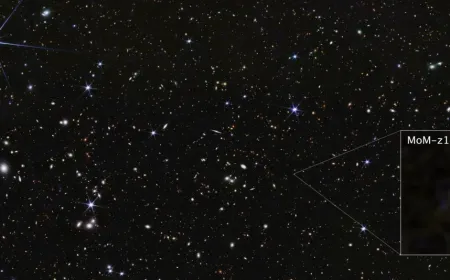 Image Credits: NASA/JWST