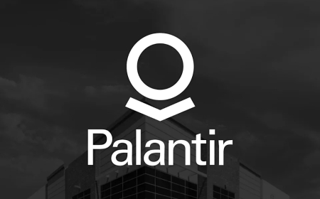 Palantir reportedly supports IRS in probing financial crime cases