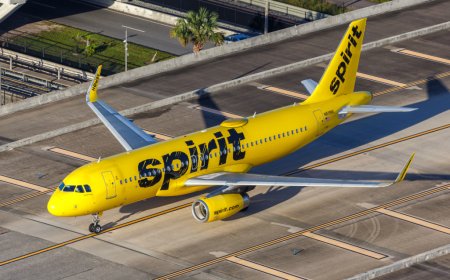 TikToker launches campaign to buy Spirit Airlines after sudden shutdown