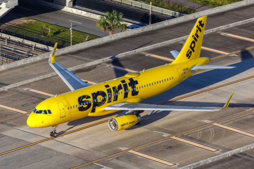 TikToker launches campaign to buy Spirit Airlines after sudden shutdown