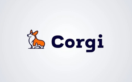 Corgi Secures $106 Million Funding Round, Reaches $2.6 Billion Valuation in Just Three Weeks.