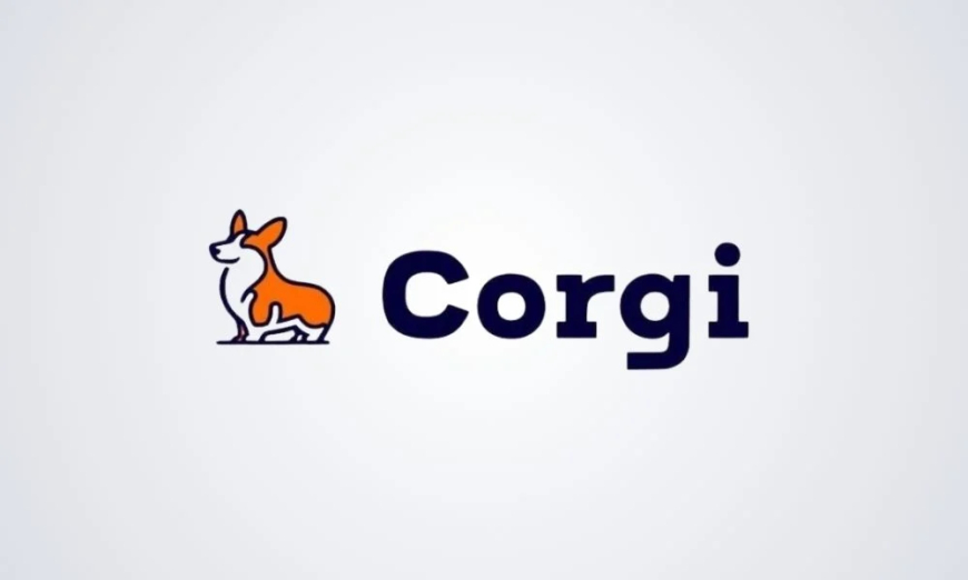 Corgi Secures $106 Million Funding Round, Reaches $2.6 Billion Valuation in Just Three Weeks.