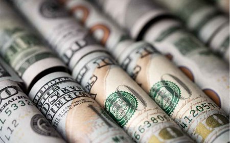 Remote Payroll Platform Boosts Revenue Per Employee by 50% While Maintaining Team Size