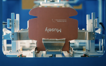 Musely raises $360M from General Catalyst without equity dilution