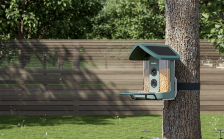 Kiwibit AI Smart Bird Feeder Brings Backyard Birdwatching to Life