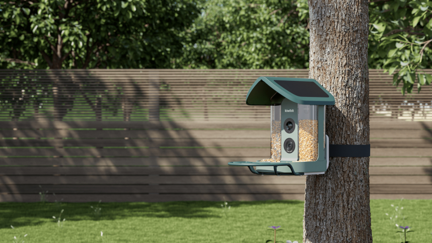 Kiwibit AI Smart Bird Feeder Brings Backyard Birdwatching to Life