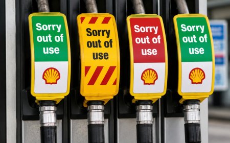 BP to Shut Down Venture Arm After Selling Most of Its Startup Portfolio