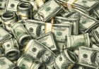Corgi Reportedly Seeks New Funding at $4 Billion Valuation