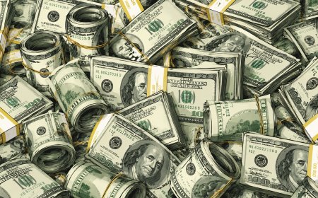Corgi Reportedly Seeks New Funding at $4 Billion Valuation