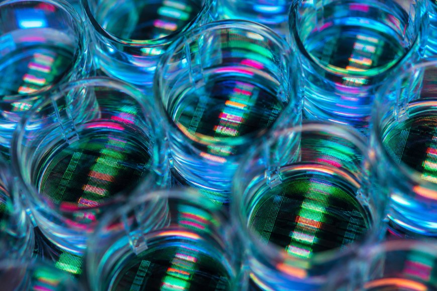 OpenAI Researcher Miles Wang Reportedly Launching AI Drug Discovery Startup