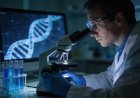 Anthropic Launches Claude Science Research Workbench to Streamline Scientific Workflows