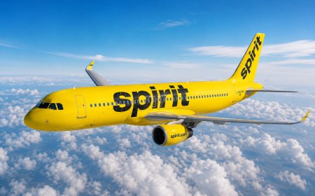 Flight Attendants Alarmed as Google Moves to Buy Huge Trove of Spirit Employee Data