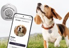 Life360 Launches $8 Pet Tags and New Tracking Features for Animals