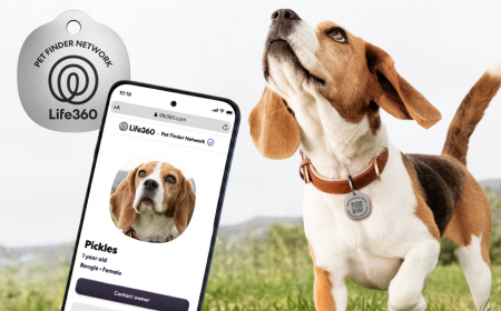 Life360 Launches $8 Pet Tags and New Tracking Features for Animals