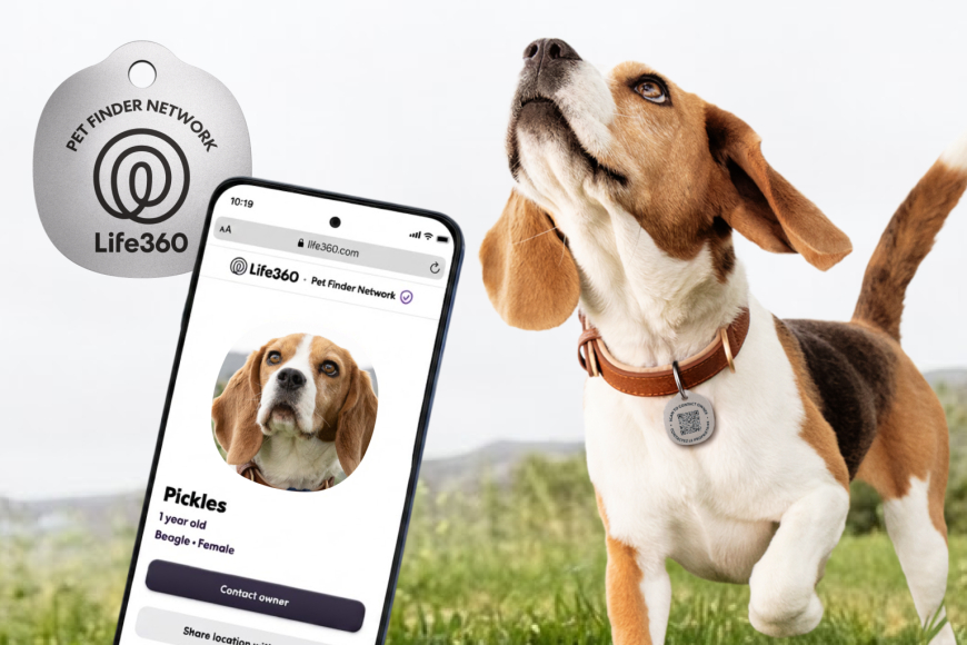 Life360 Launches $8 Pet Tags and New Tracking Features for Animals